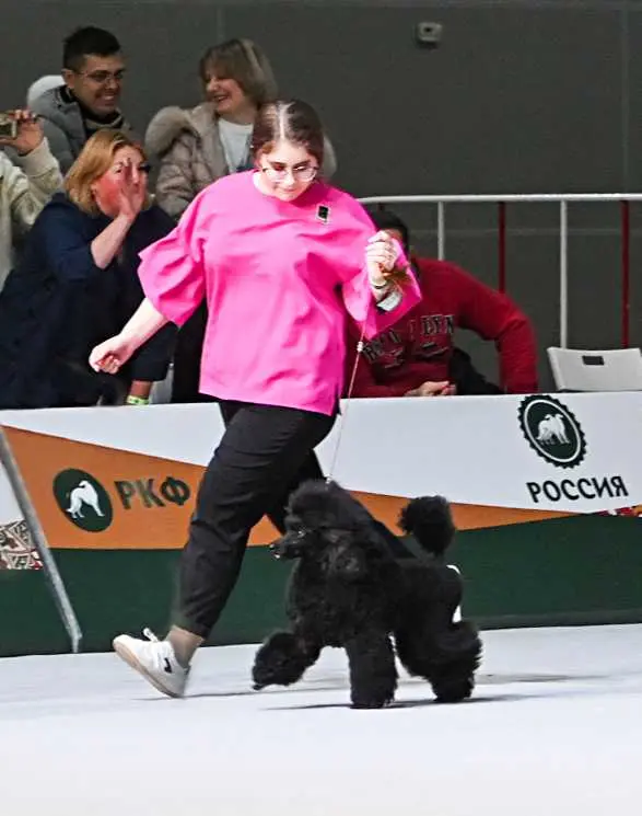 animated-card-image_2_blok